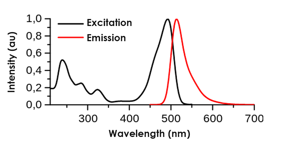 The excitation and emission spectra of Fluorescein