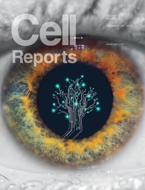 Cell Reports cover