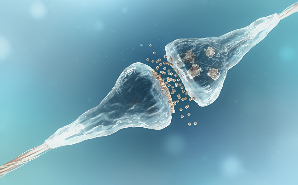 6.	Proteomics analyses could present new opportunities to diagnose and treat dementias