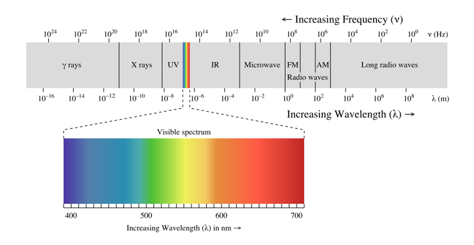 The electromagnetic spectrum, showing the UV light, visible light and IR wavelengths used in fluorescence microsocpy