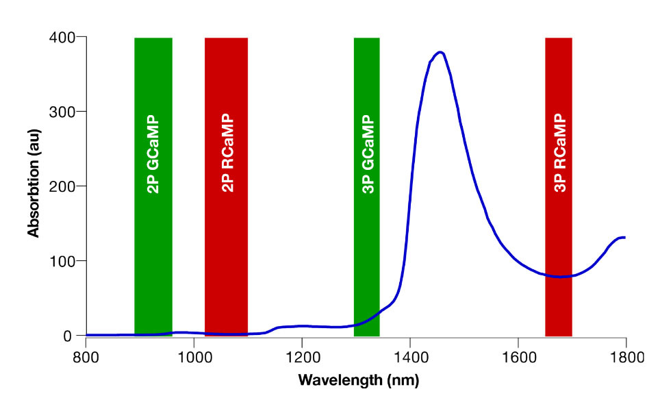 Figure 1: Wavelength dependence of water absorption