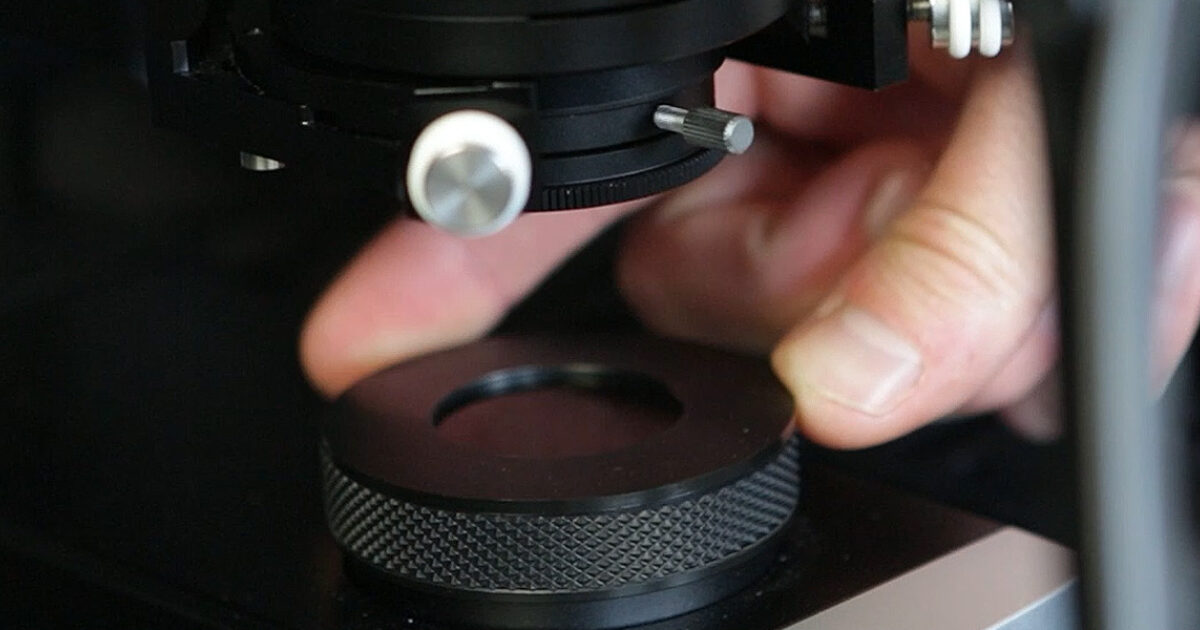 A Video Guide to Differential Interference Contrast… | Scientifica