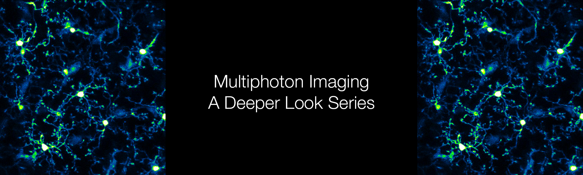 Multiphoton Imaging Series