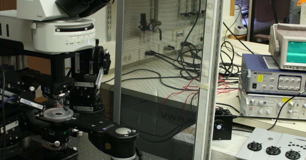 Lab Noises #LabHacks: How to reduce the noise around your… | Scientifica
