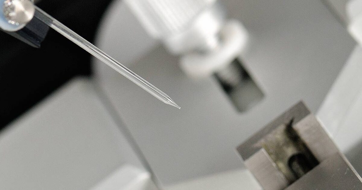 Vm Injection Technique Viral Injection | Scientifica