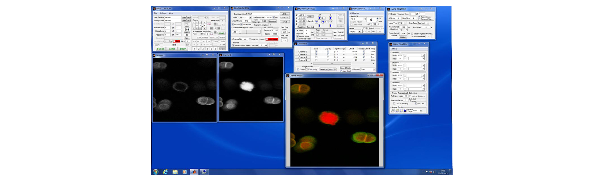 ScanImage by MBF Bioscience