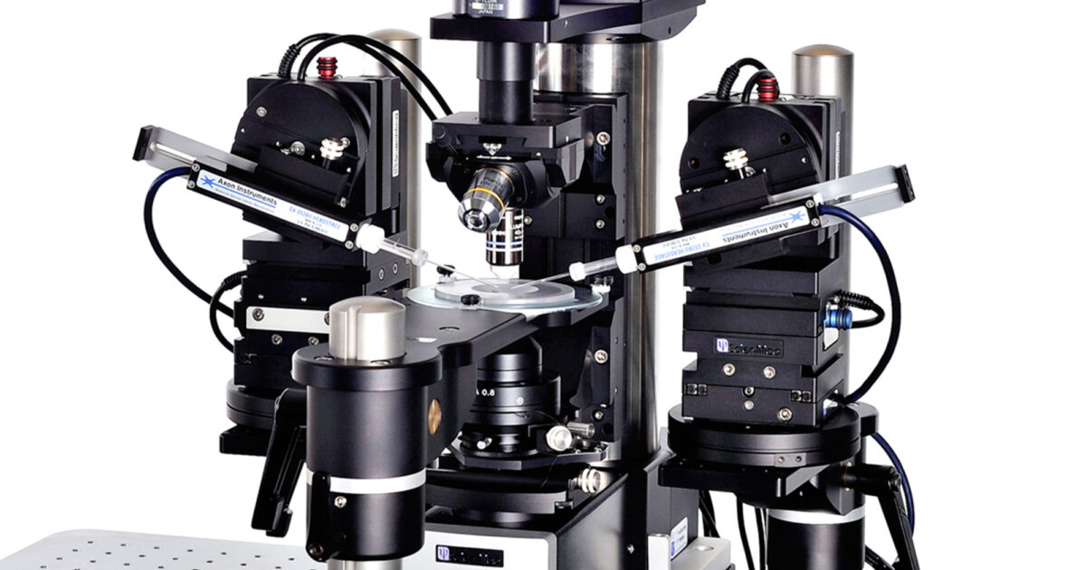 Neuroscience Rig Electrophysiology Rigs for Patch Clamp | Tissue &… | Scientifica