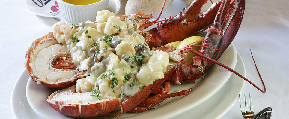Drago's Lobster 