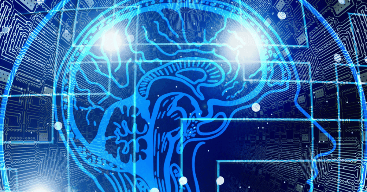 Visual Cortex Company How the visual cortex processes information about the… | Scientifica