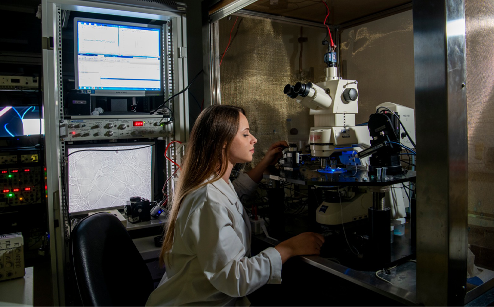 Hannah Warming, University of Southampton, using Scientifica PatchStars - motorised manipulators